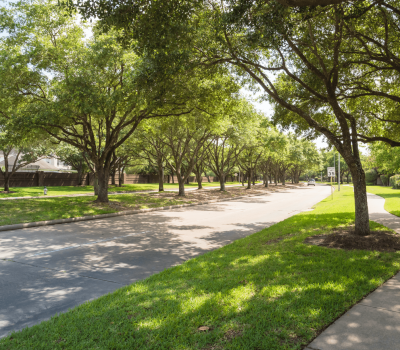 Eco Friendly Landscape at Celebrity Prime Oak