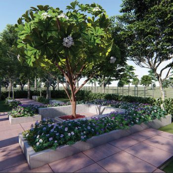 Celebrityprime Gallery