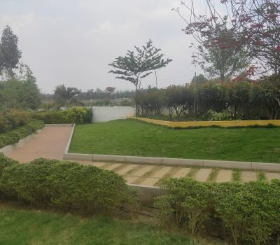 Ecofront-gallery-8